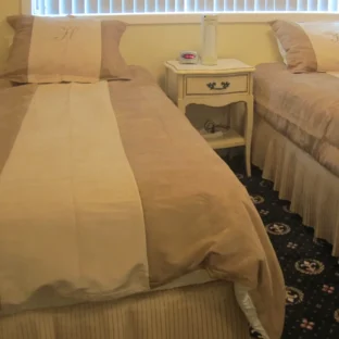 Suede 2 Colors Camel